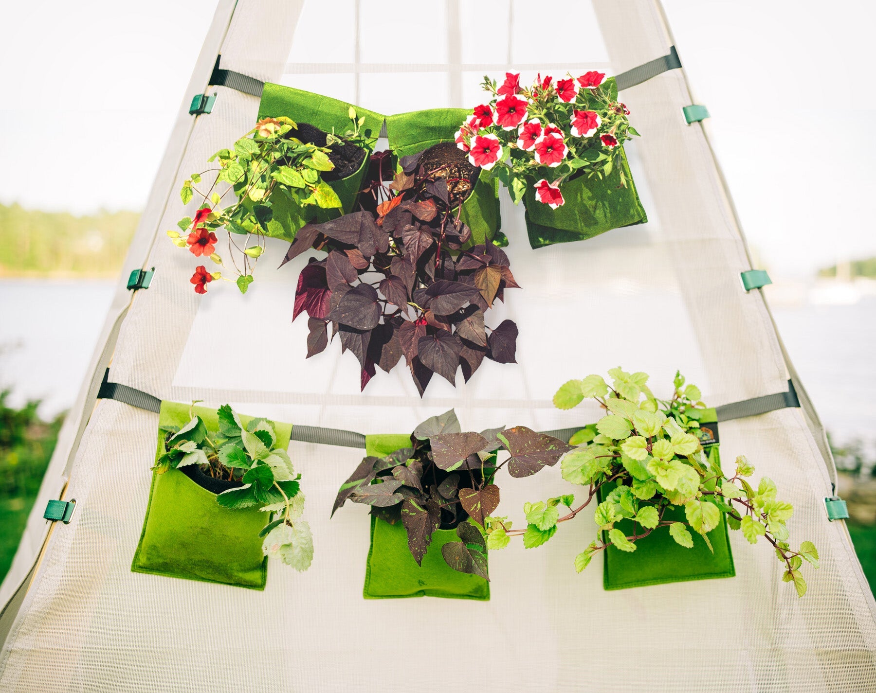 Bijou Bloom Hanging Planters