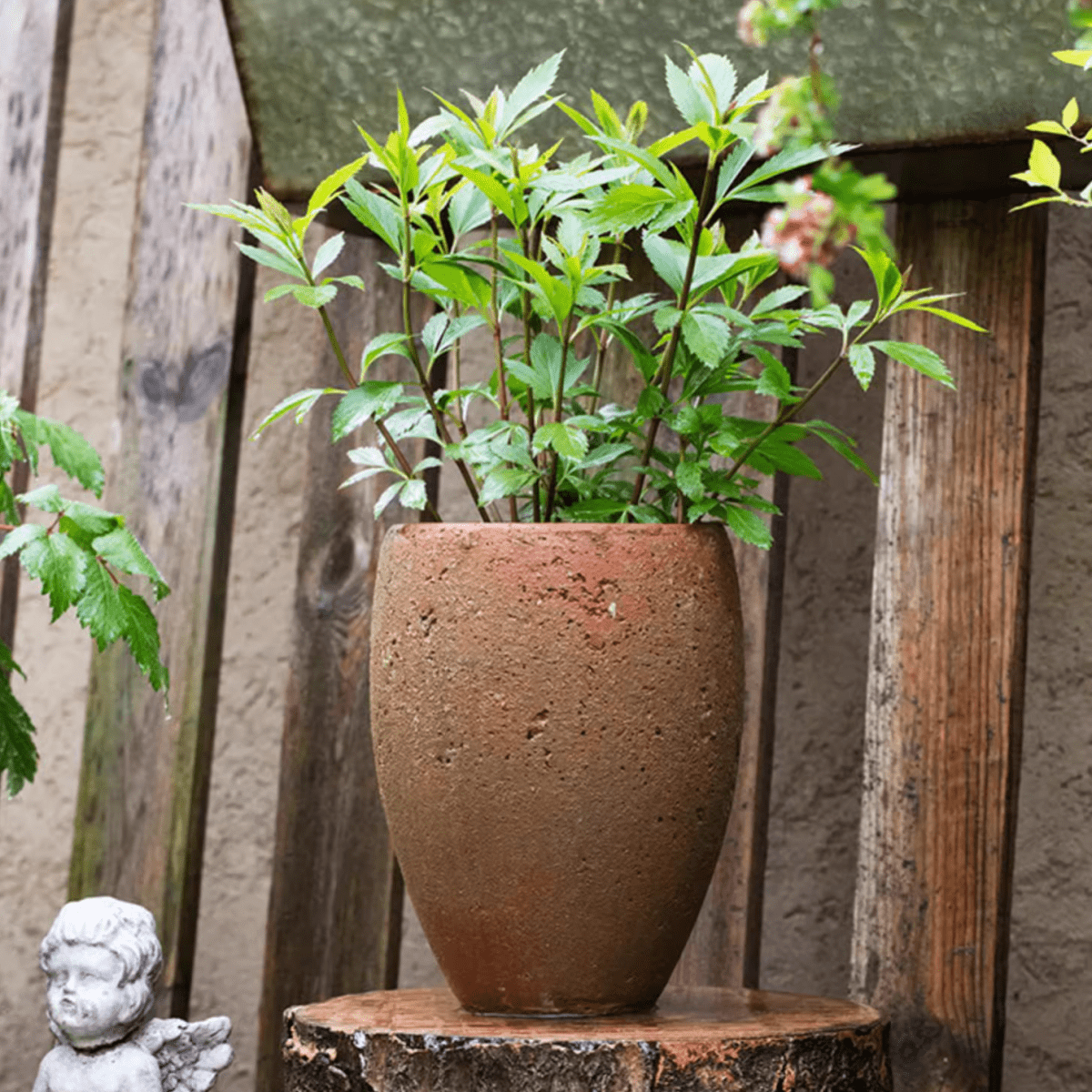 Distressed Cement Plant Pot