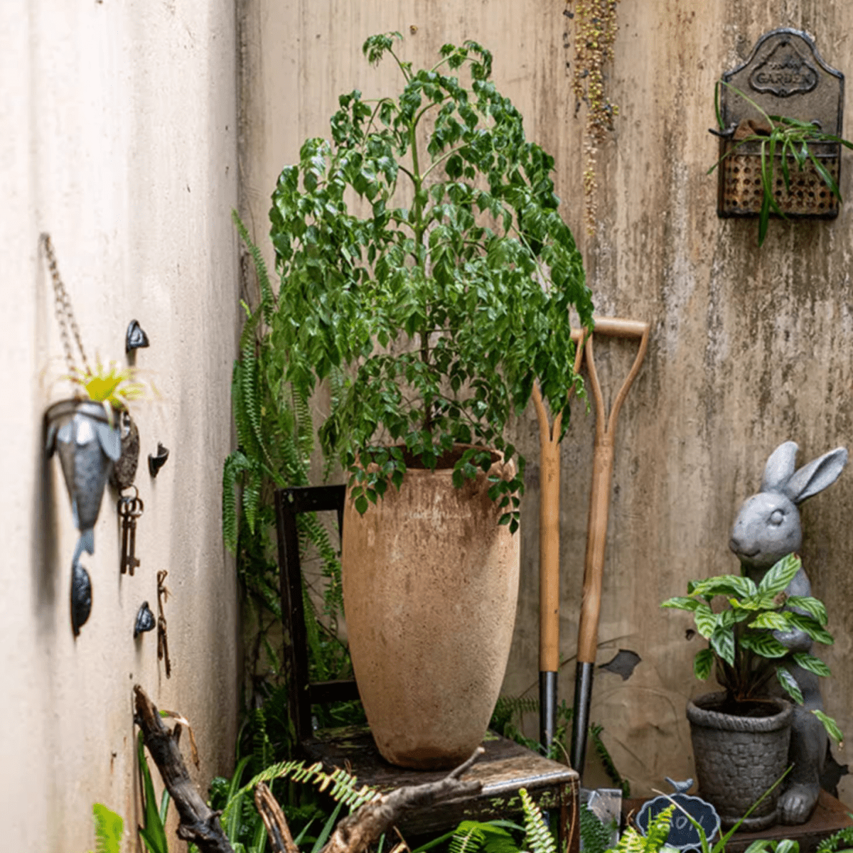 Distressed Cement Plant Pot