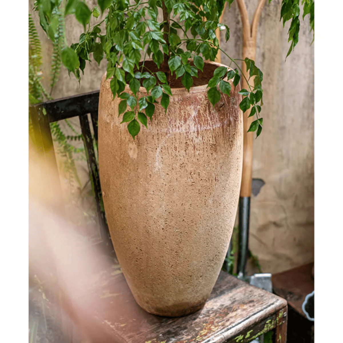 Distressed Cement Plant Pot