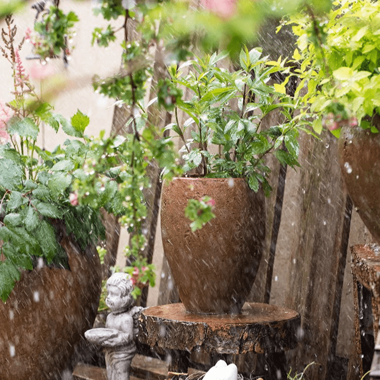 Distressed Cement Plant Pot