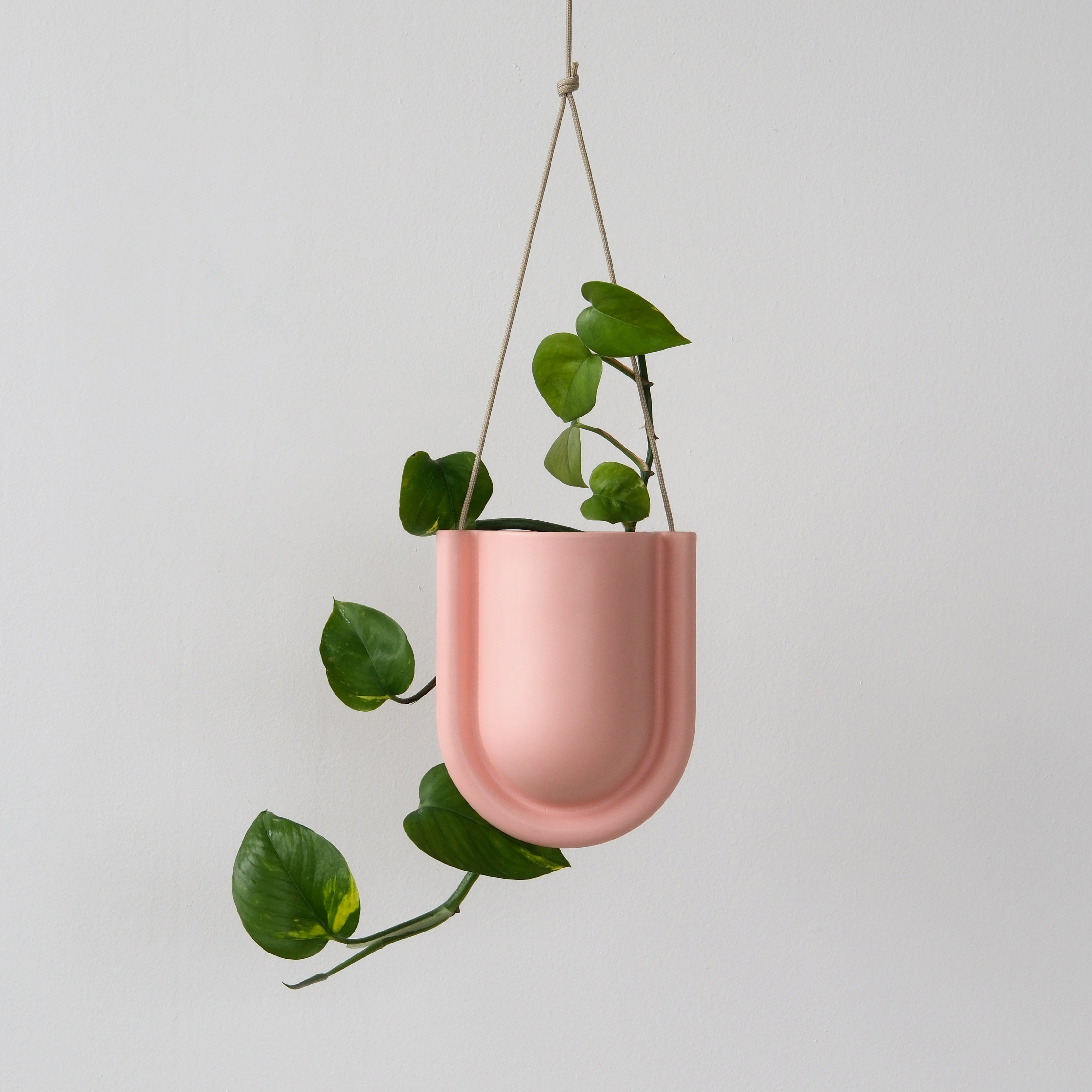 Portico Cement Planter