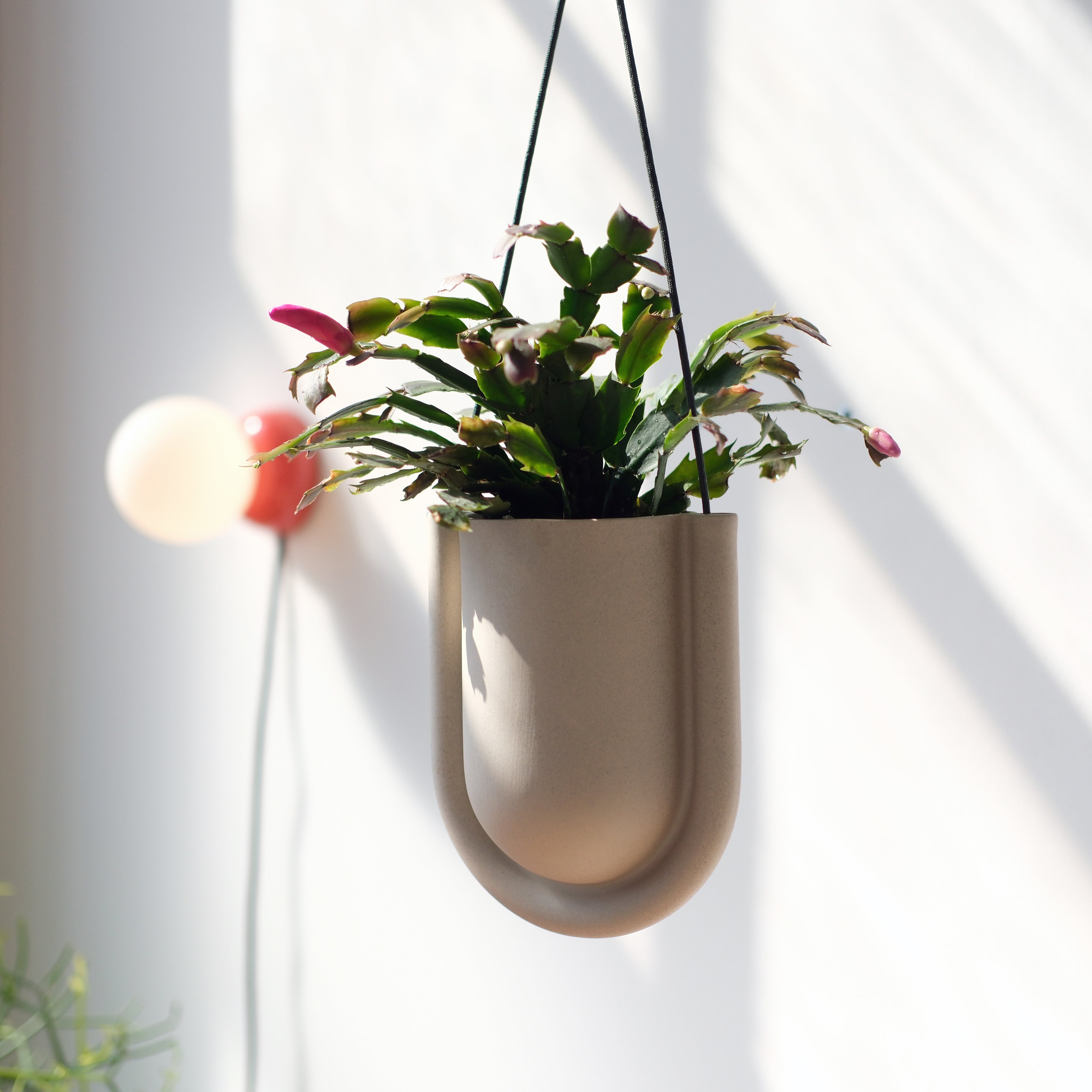 Portico Cement Planter