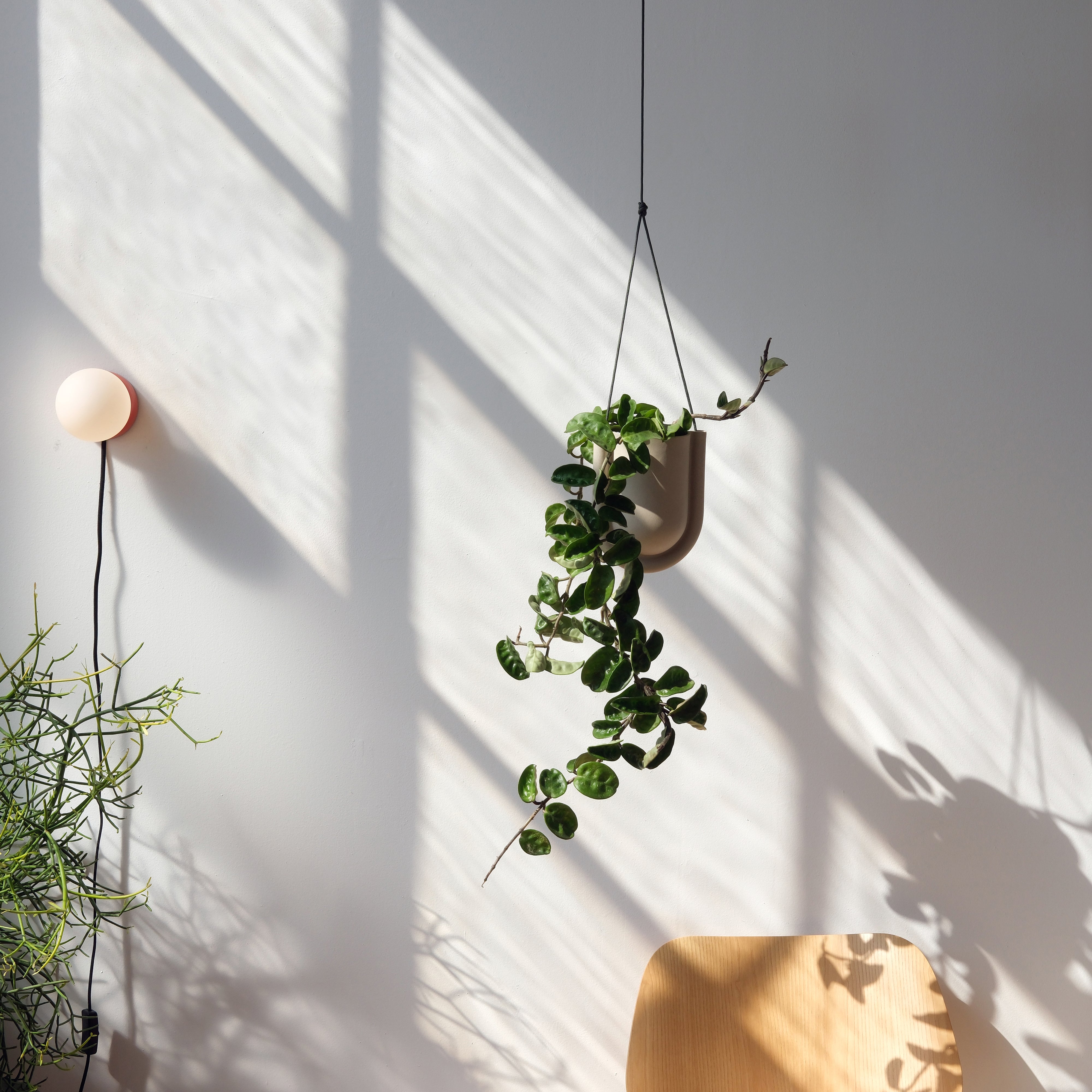 Portico Cement Planter