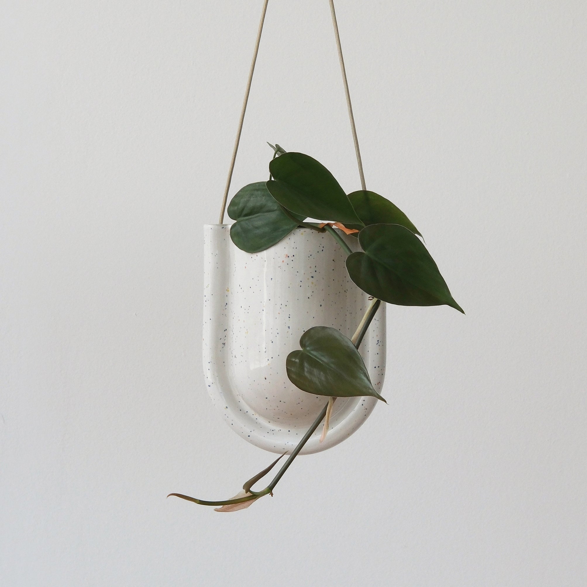 Portico Cement Planter