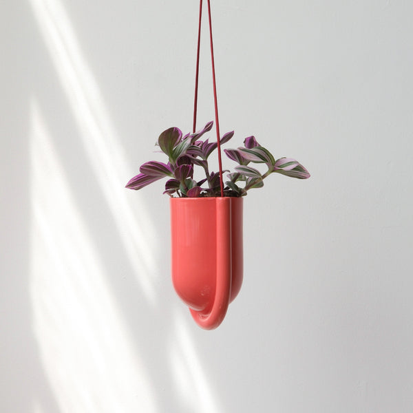 Portico Cement Planter