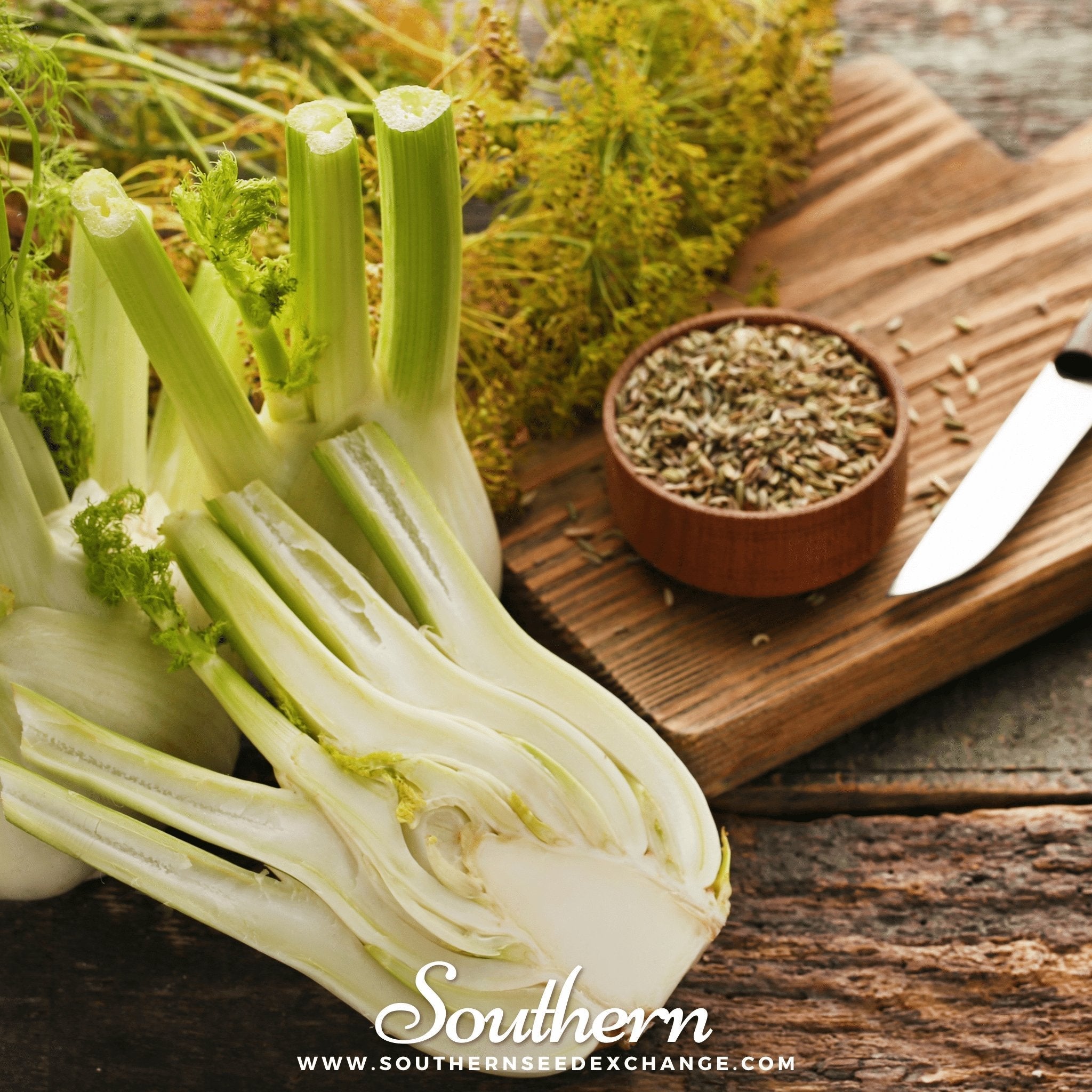 Florence Fennel – 200 Seeds