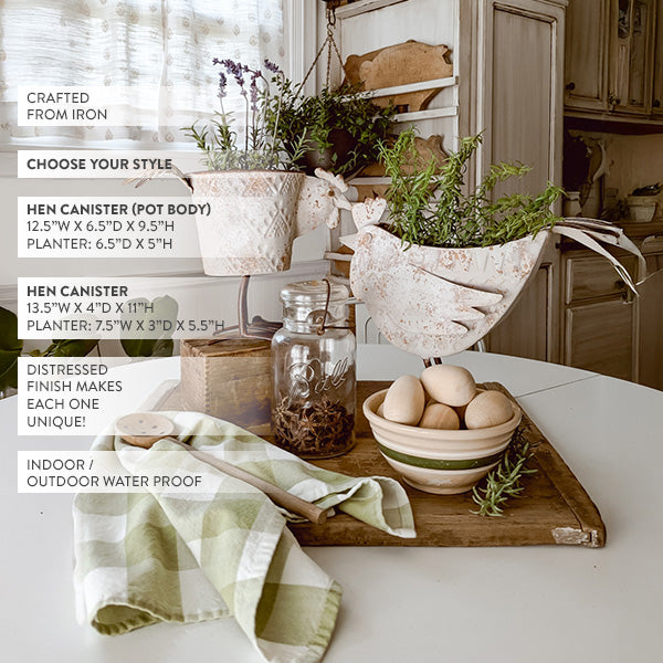 Indoor/Outdoor Distressed Hen Planter, Choose Your Style